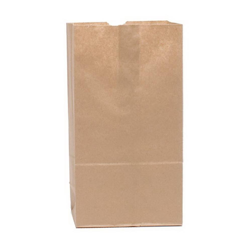 70223 Husky Bag 25 lb. Kraft Heavy Duty Paper 400/bd. - 70223 25# HUSKY KRAFT BAG 400