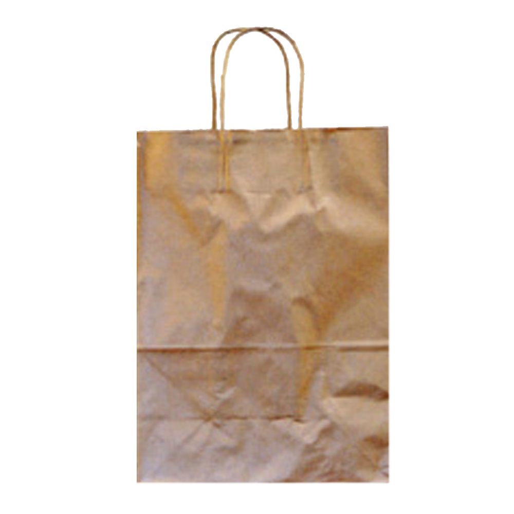 KBDEBBIE Debbie Shopping Bag Kraft 10"x5"x13"x5" Twisted Handles Paper 250/bd. - KBDEBBIE KRF 10X5X13X5 TWHD BG