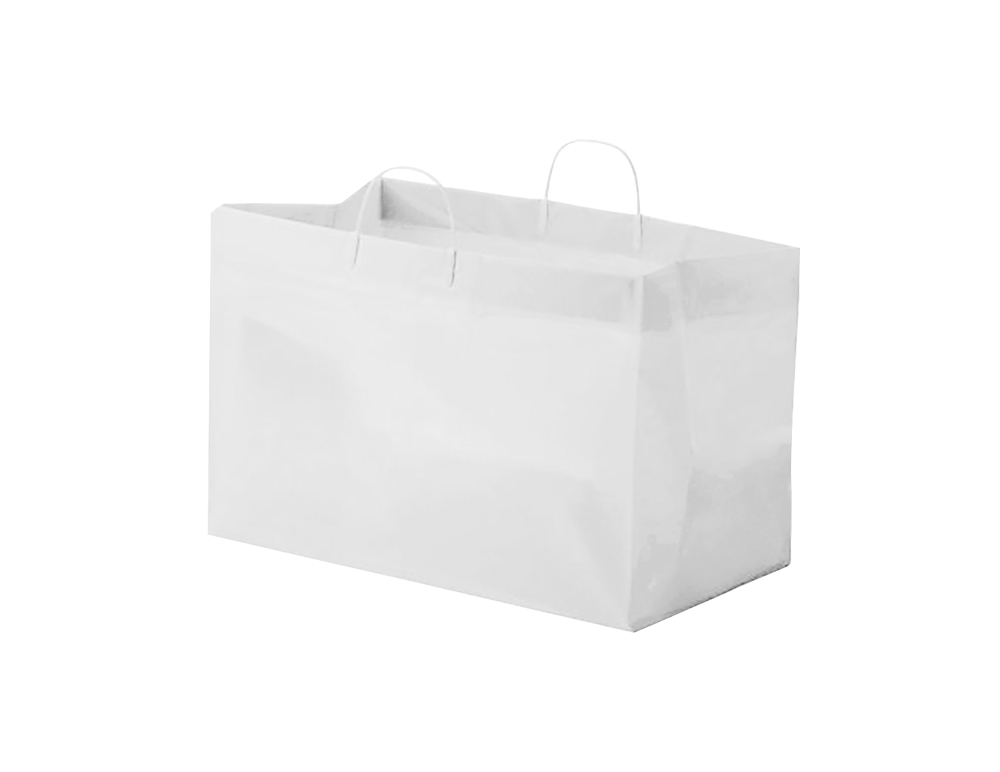 SCSLWTQD Catering Bag 19"x10"x12"x10" White Plastic Handle 200/cs
