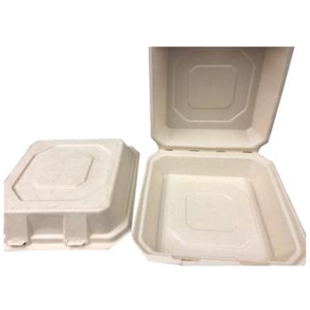 D020F Bagasse 9"x9" Compostable Hinged Take-Out Box 4/50 cs